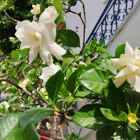 η ελπίδα και η γιάννα ξεκίνησαν ένα χώρο Cute *