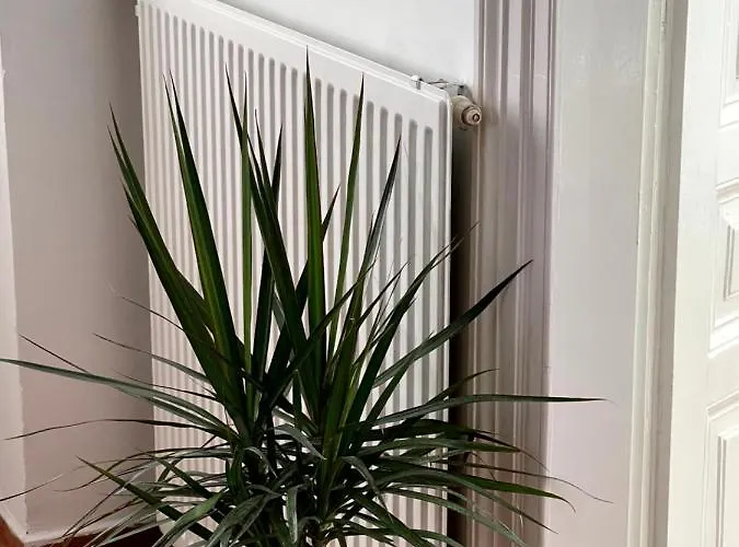 Appartement η ελπίδα και η γιάννα ξεκίνησαν ένα χώρο Cute