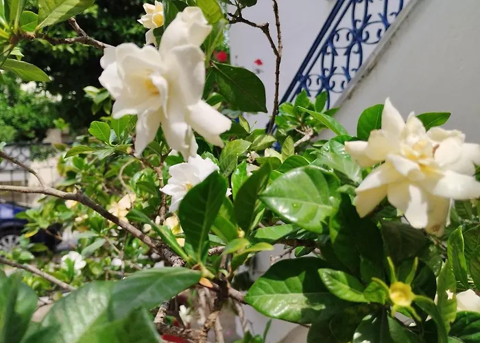 η ελπίδα και η γιάννα ξεκίνησαν ένα χώρο Cute *