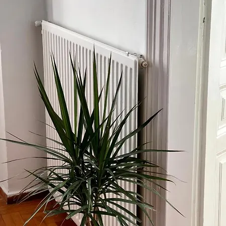 Apartamento η ελπίδα και η γιάννα ξεκίνησαν ένα χώρο Cute