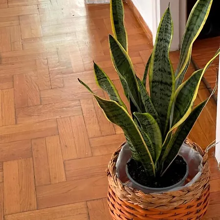 η ελπίδα και η γιάννα ξεκίνησαν ένα χώρο Cute Apartamento Volos